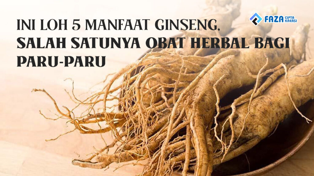 ini loh 5 manfaat ginseng