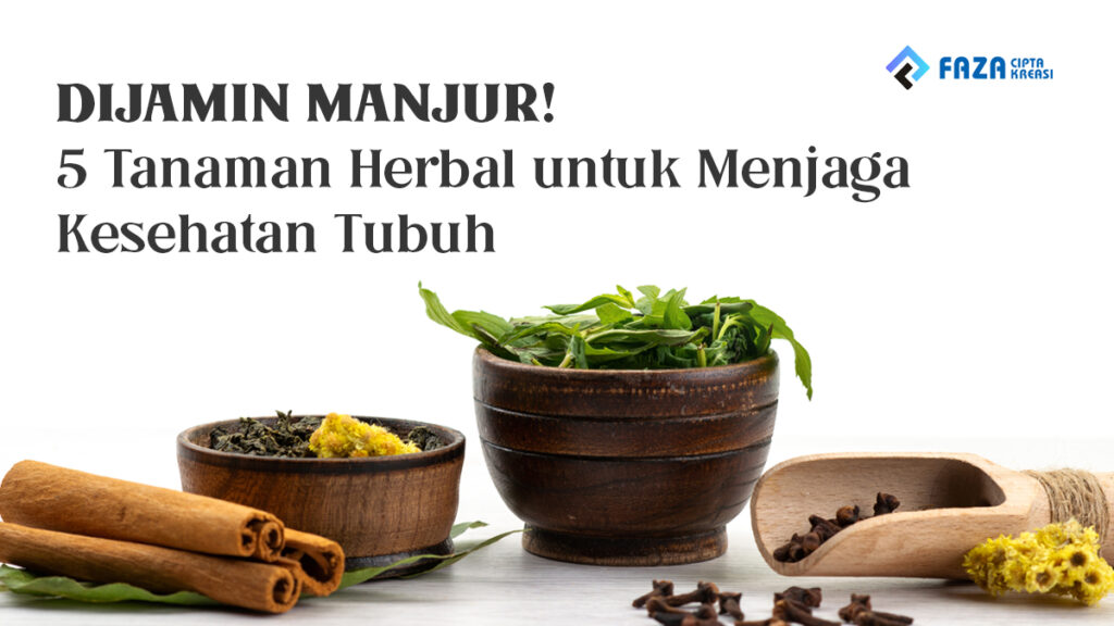 5 tanaman herbal