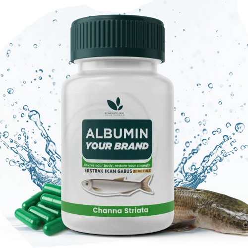 Salinan dari albumin (1)